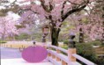 /album/quick-snaps/att809929-jpg/